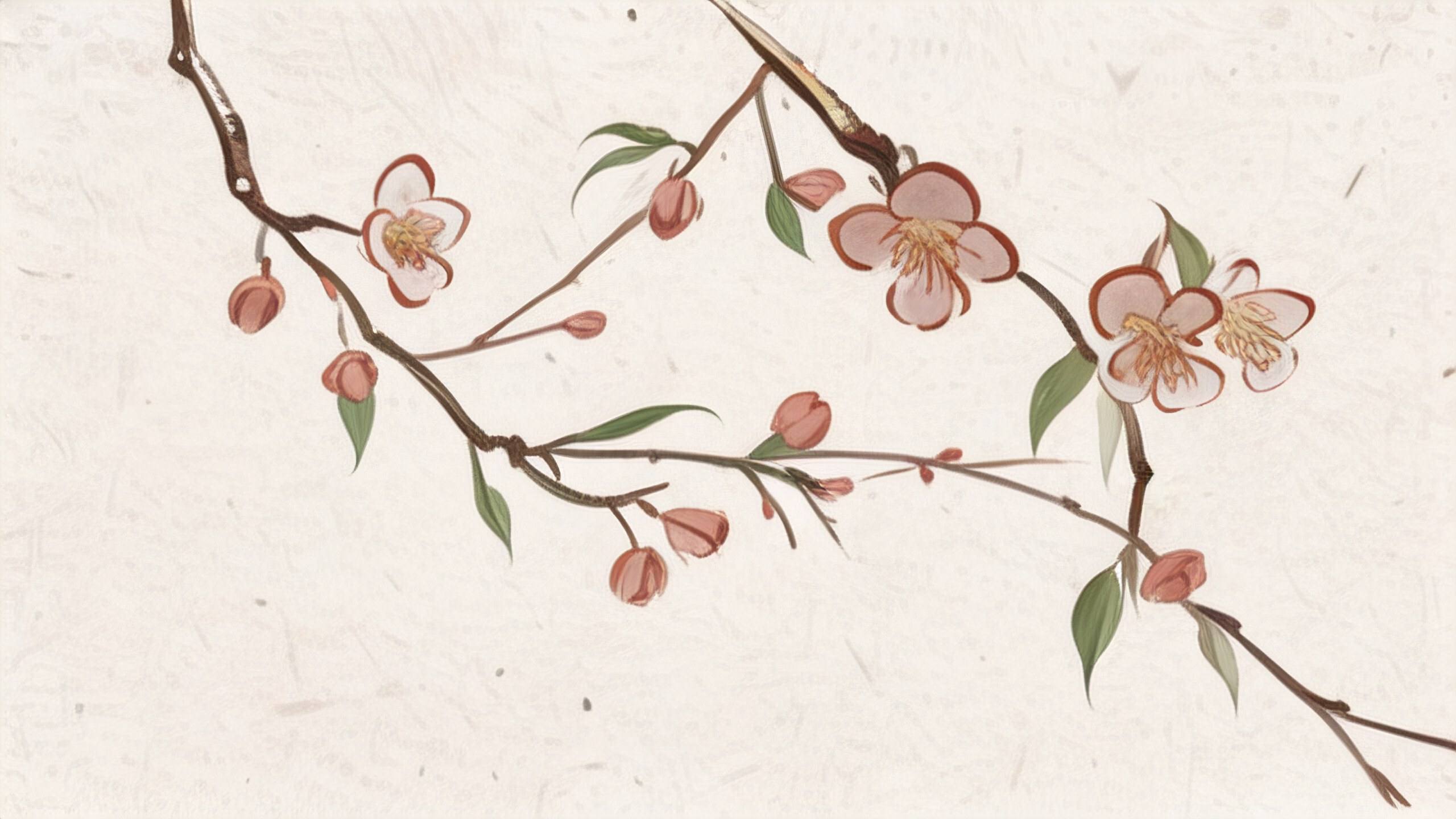 我们为什么不读书了